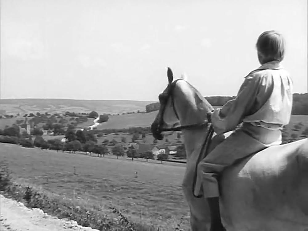 Monsieur Hawarden（原題）の画像