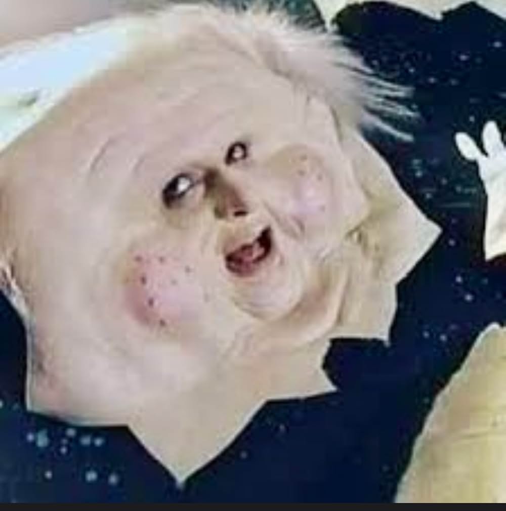 Mother Goose Rock 'n' Rhyme（原題）の画像