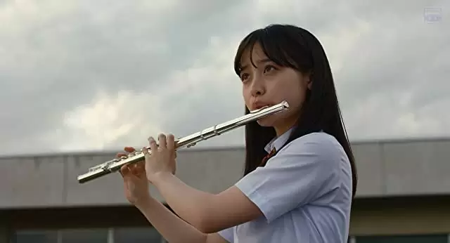 ハルチカの画像