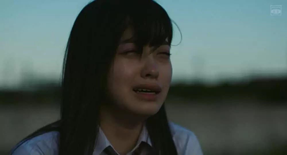 ハルチカの画像