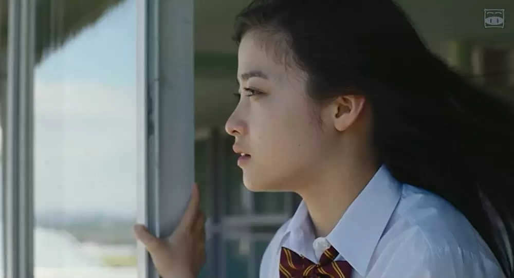 ハルチカの画像