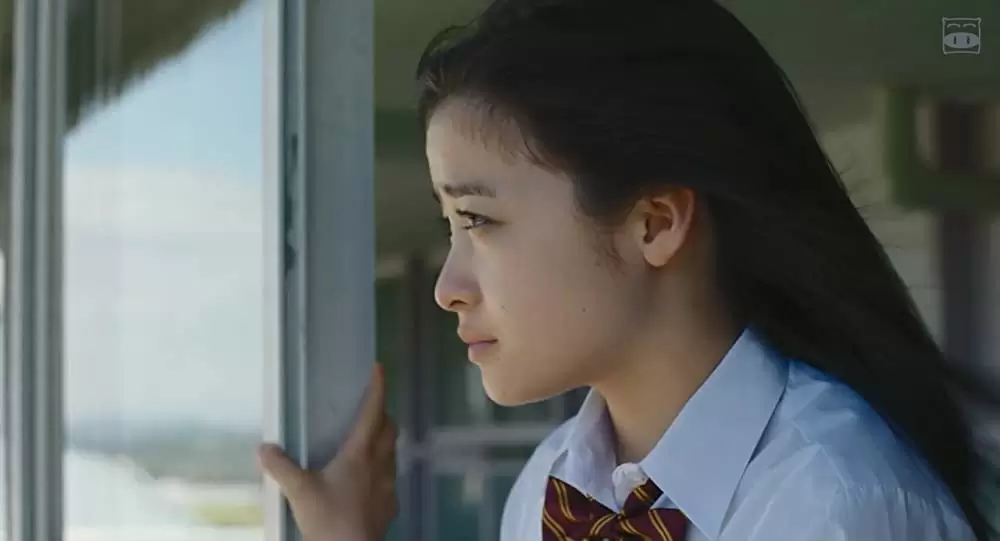 ハルチカの画像