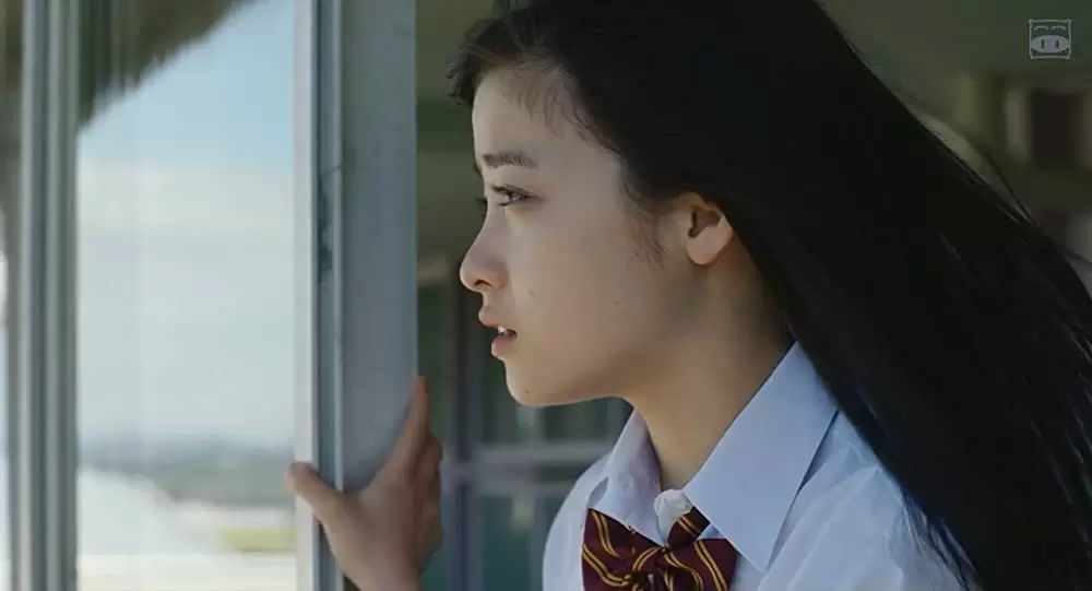 ハルチカの画像