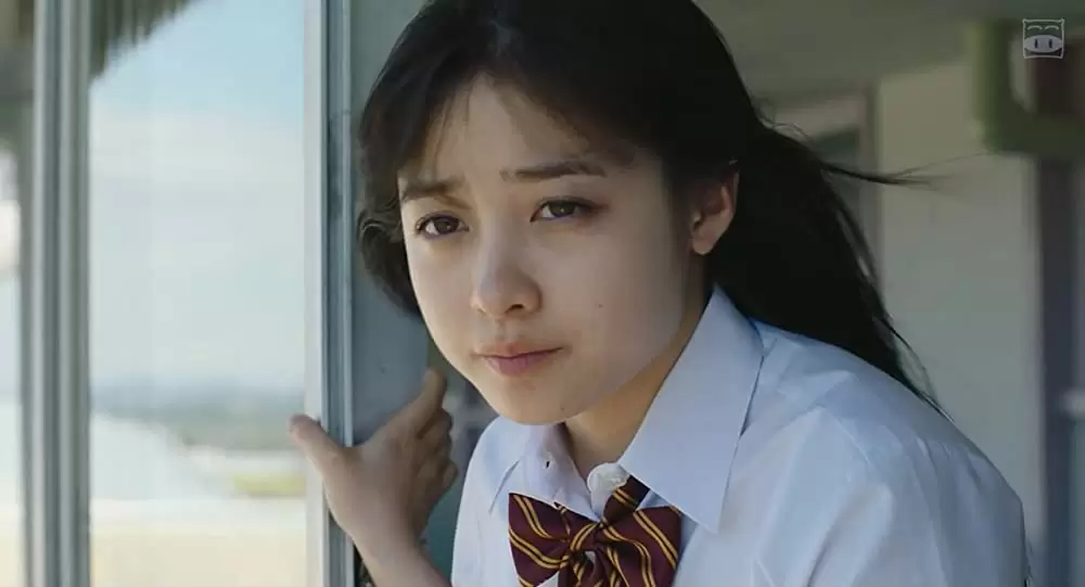 ハルチカの画像