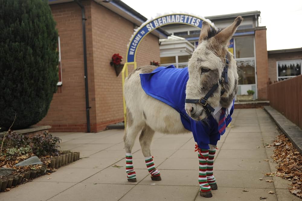 Nativity 3: Dude, Where's My Donkey?!（原題）の画像