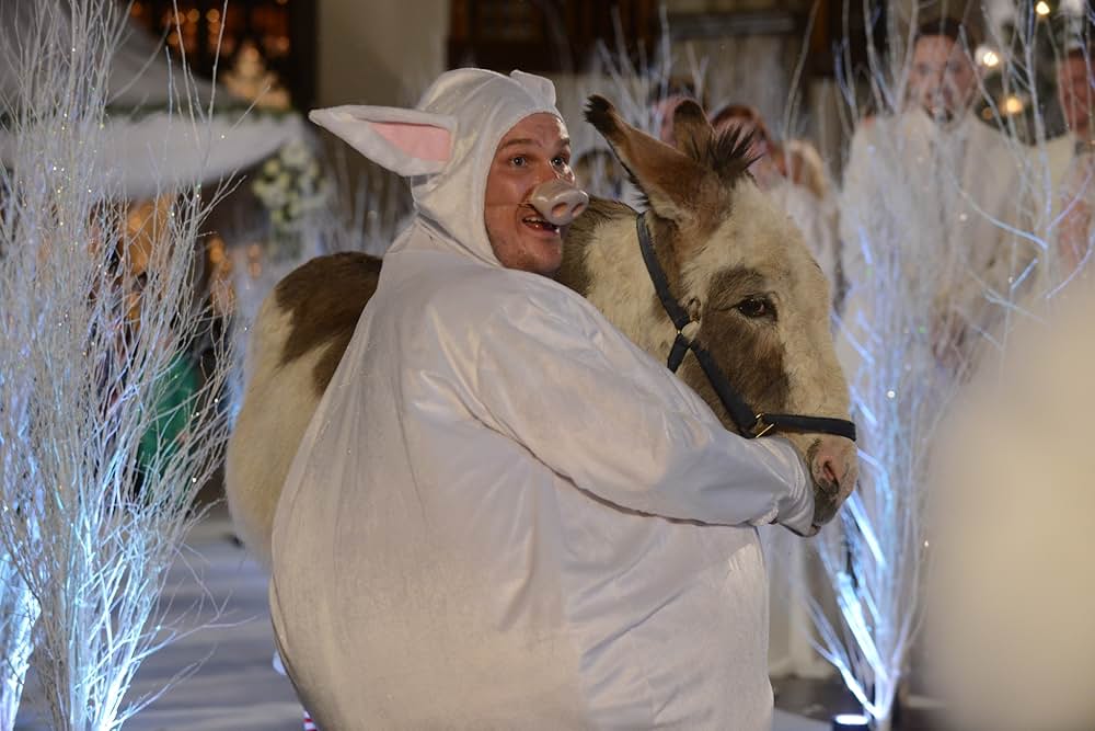 Nativity 3: Dude, Where's My Donkey?!（原題）の画像