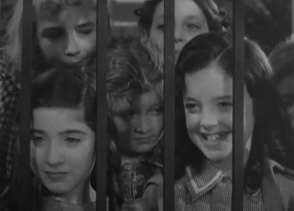 僕は軍人の画像