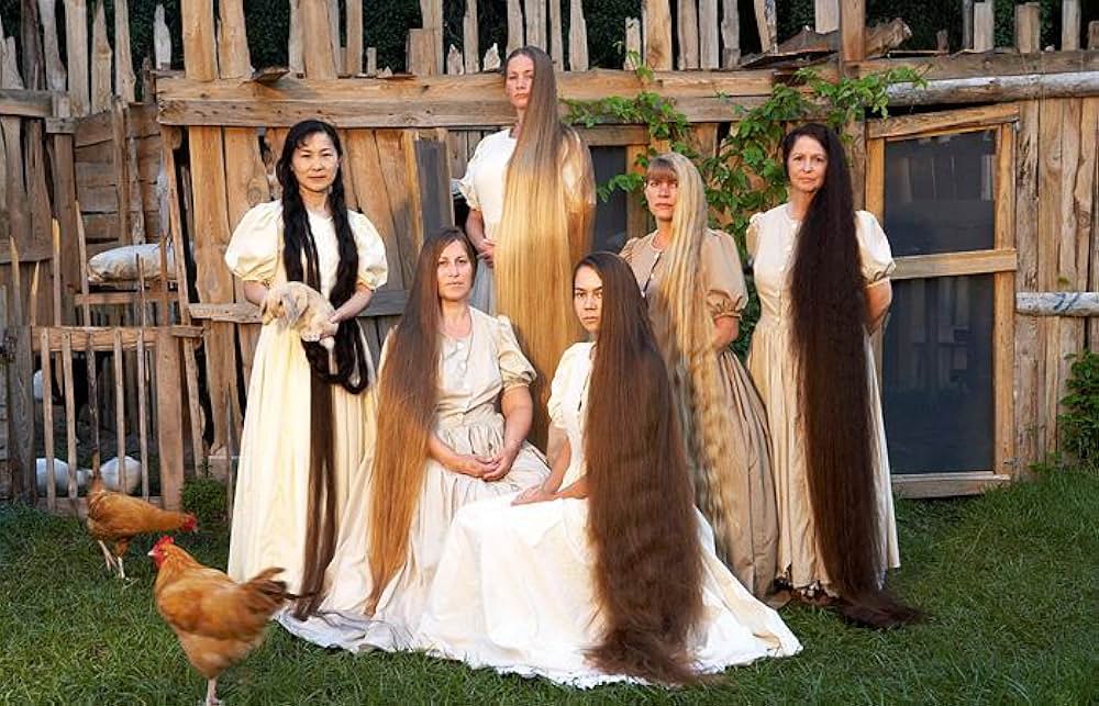 Cheese（原題）の写真