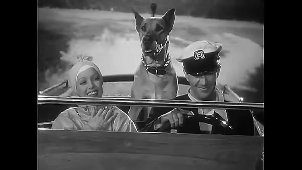 愛の花篭の画像