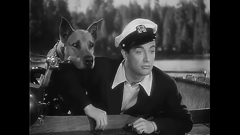 愛の花篭の画像