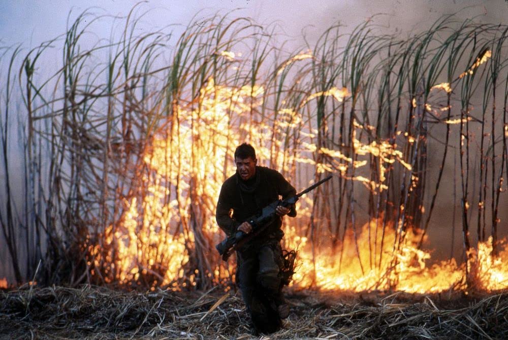 山猫は眠らないの画像