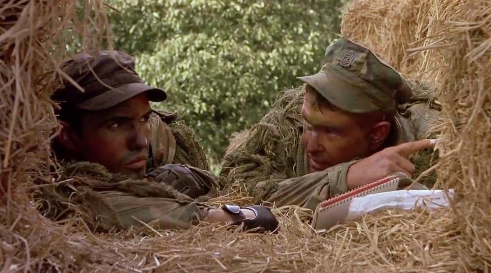 山猫は眠らないの画像