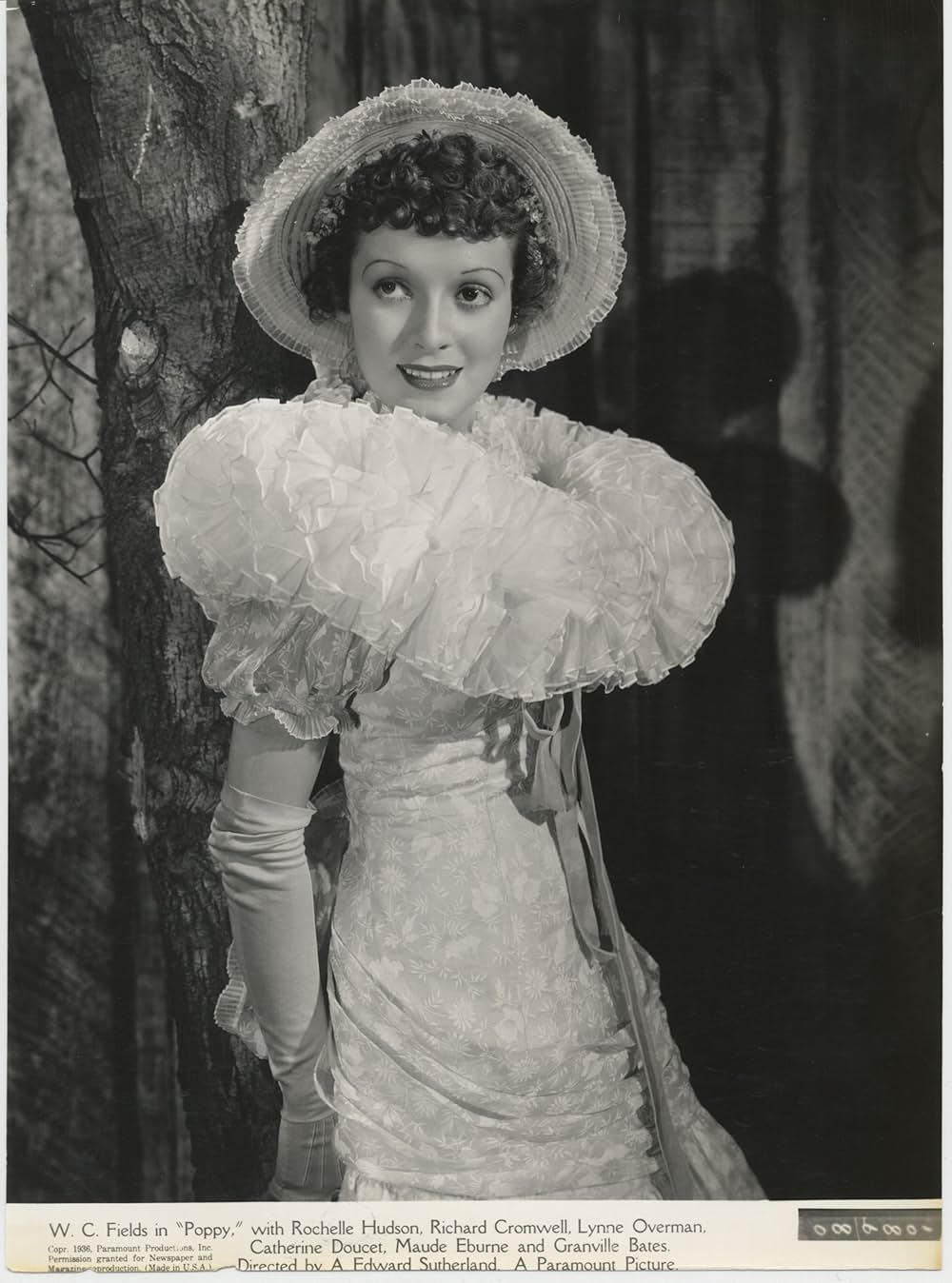 南瓜おやじの画像