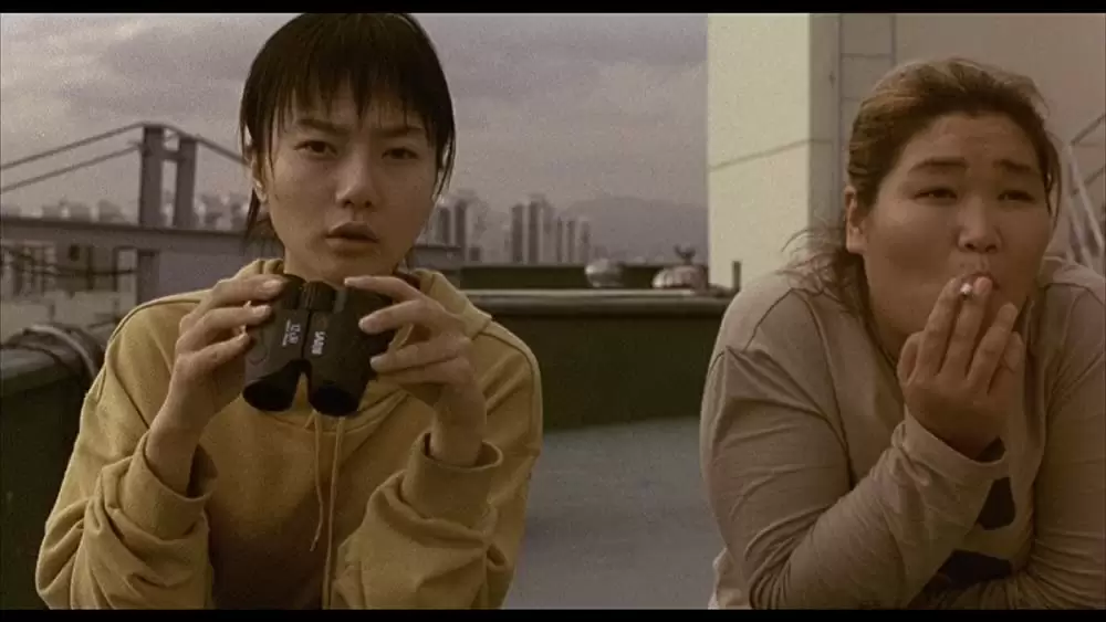 「ほえる犬は噛まない」の画像