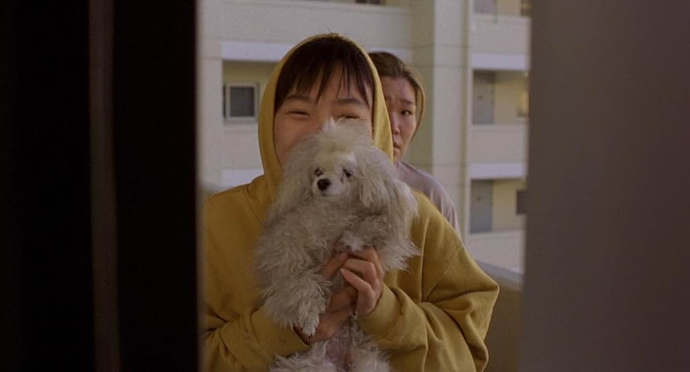 「ほえる犬は噛まない」の画像