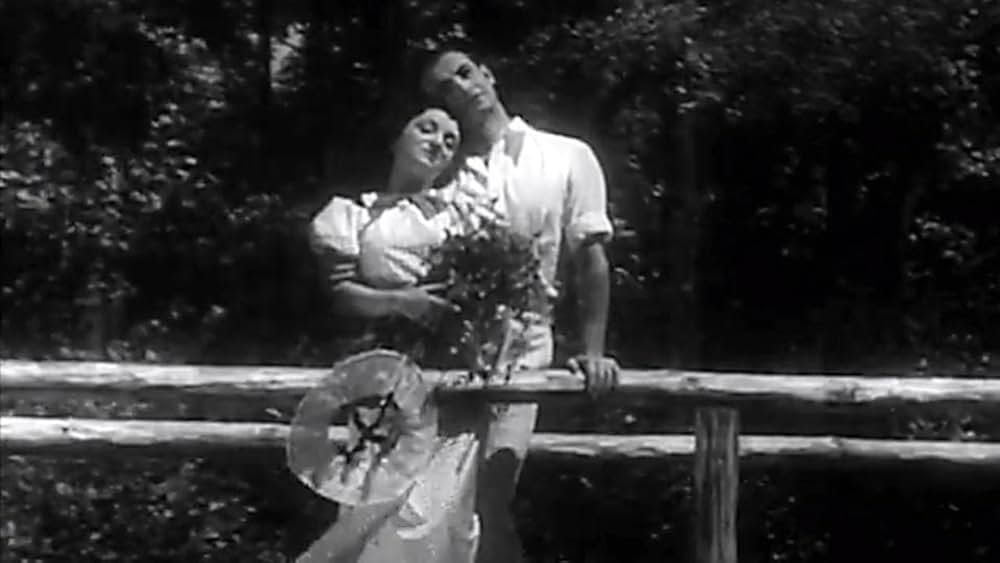 Yiddle with His Fiddle（英題）の画像