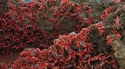 神に選ばれし無敵の男の画像