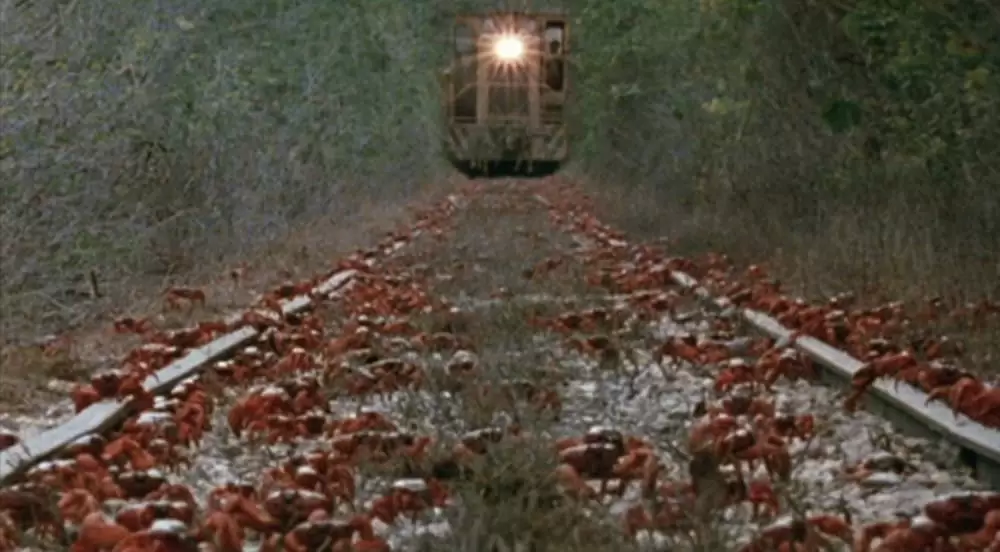 神に選ばれし無敵の男の画像