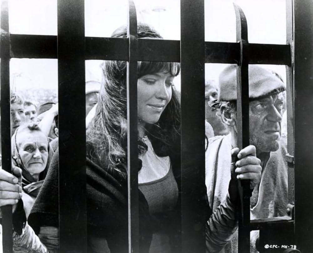 Michael Kohlhaas - Der Rebell（原題）の画像