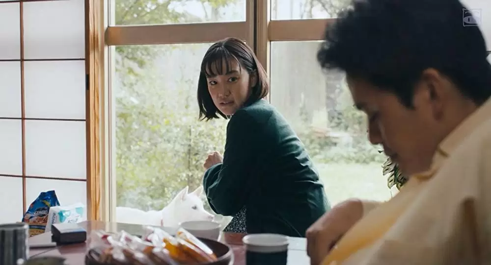 「宮本から君へ」蒼井優 & 池松壮亮の画像