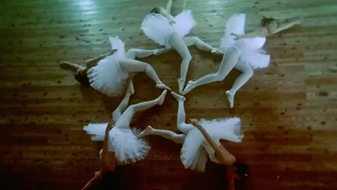 花とアリスの画像