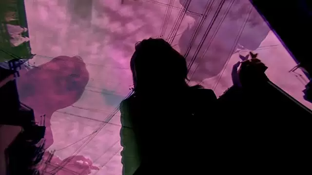 花とアリスの画像