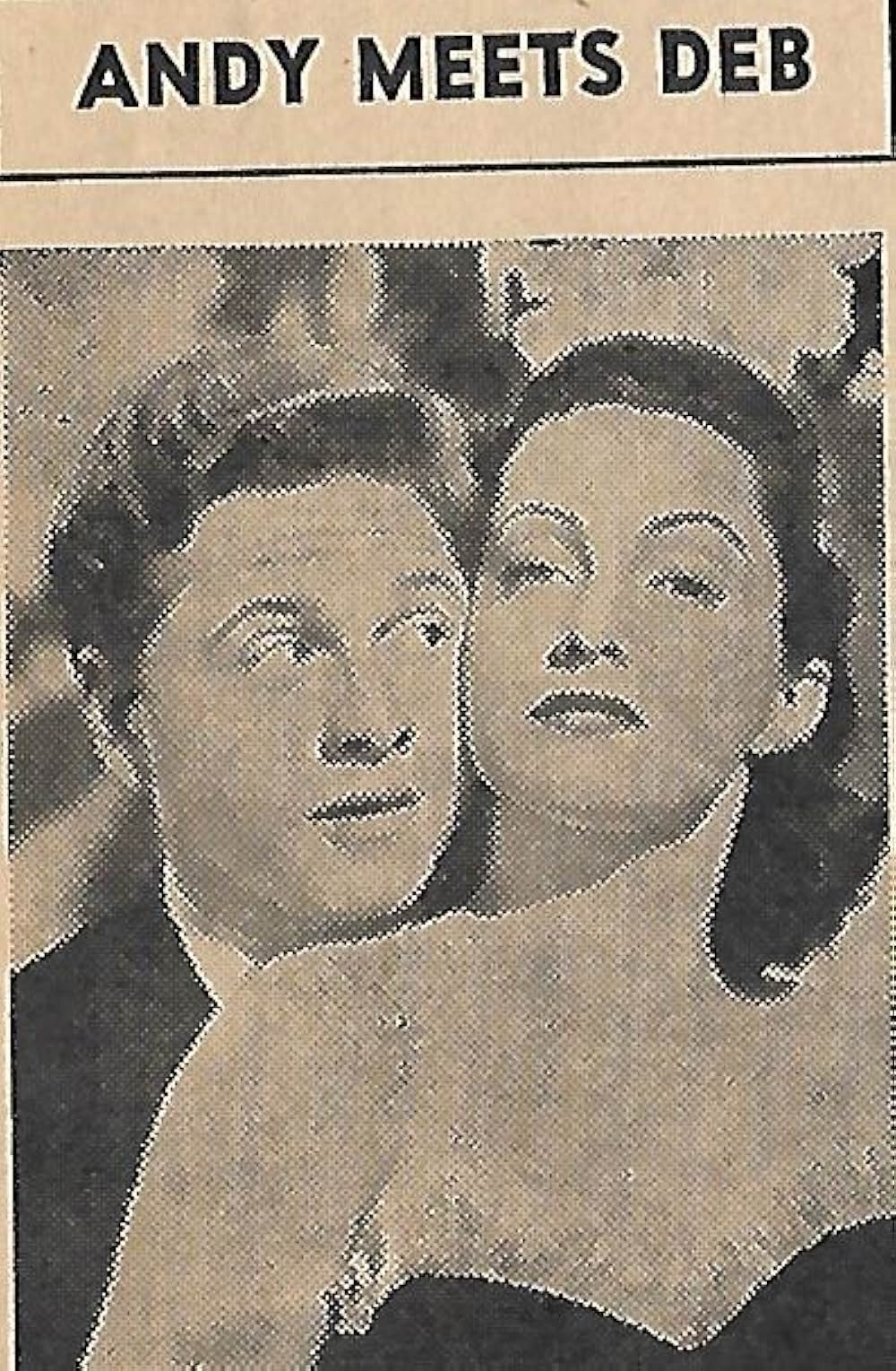 憧れの恋人の画像