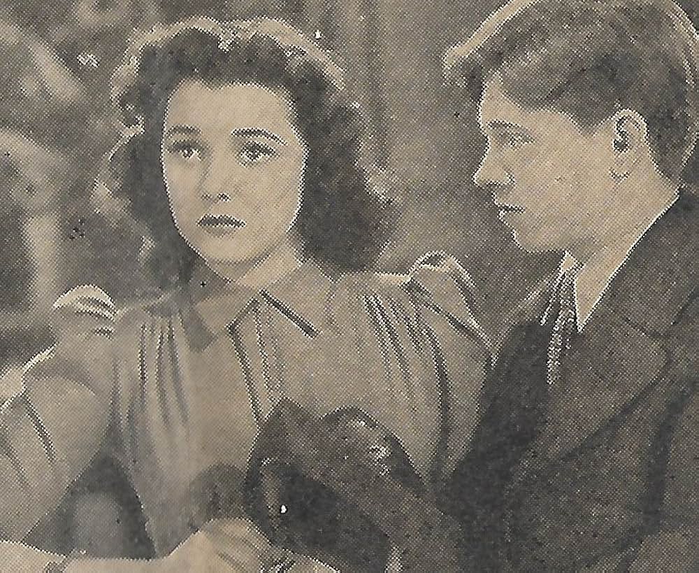 憧れの恋人の画像