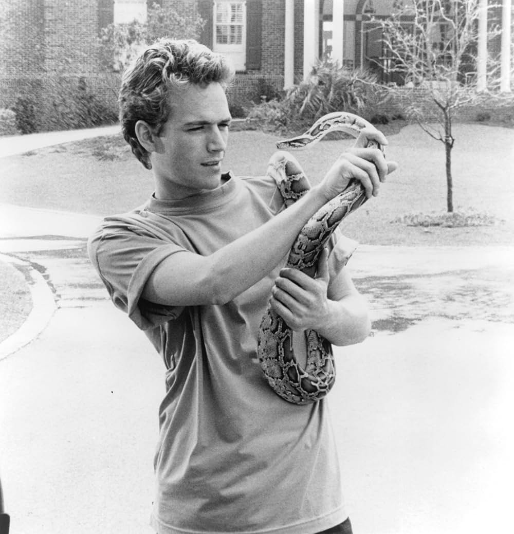 それから、ふたりは眠りの中での写真