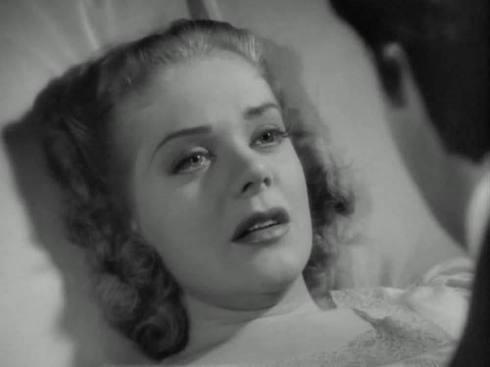 ワシントン広場の薔薇の画像