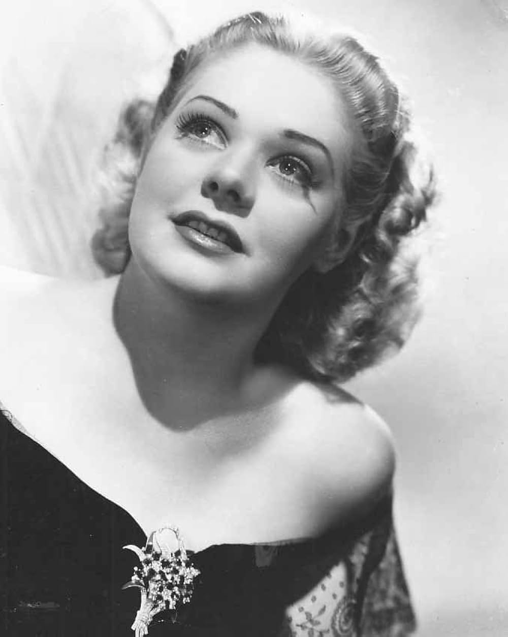 ワシントン広場の薔薇の画像