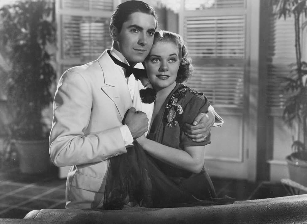 ワシントン広場の薔薇の画像