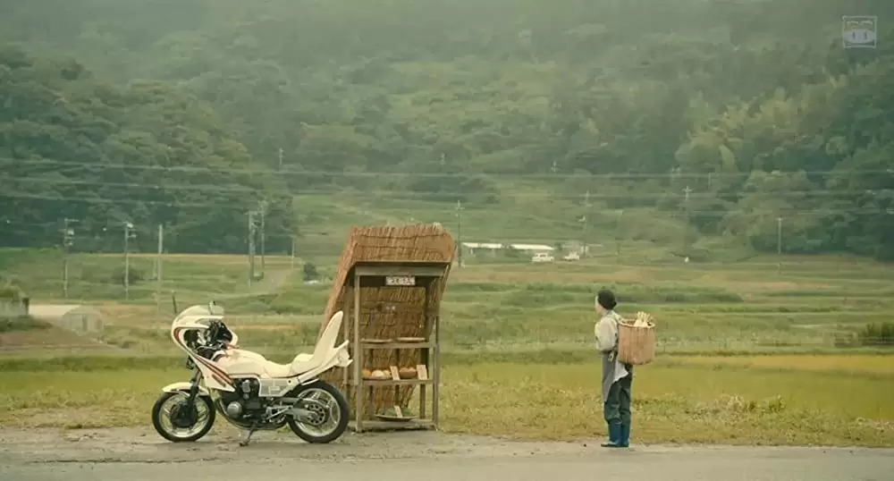 にがくてあまいの画像