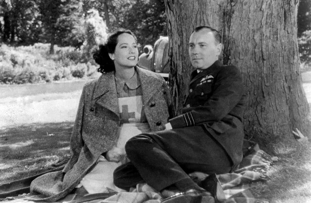 ライオンの翼の画像