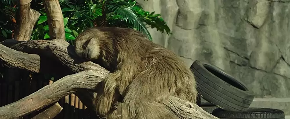 シークレット・ジョブの画像