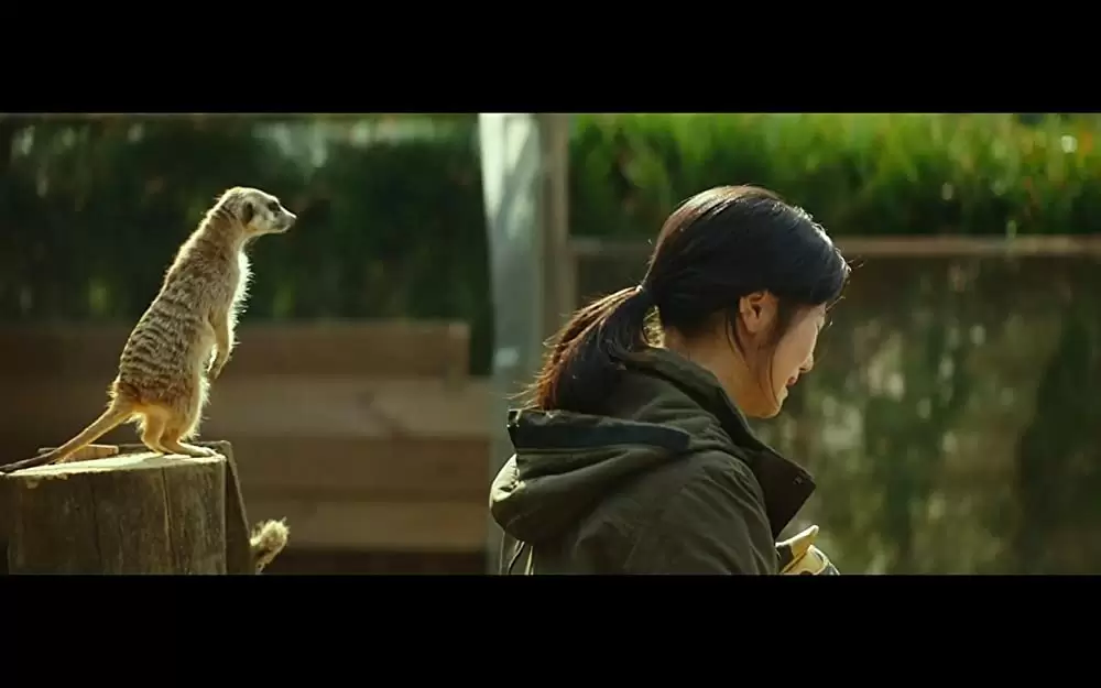 シークレット・ジョブの画像