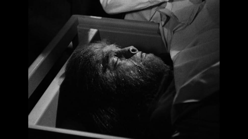 ジャングルの妖女の画像