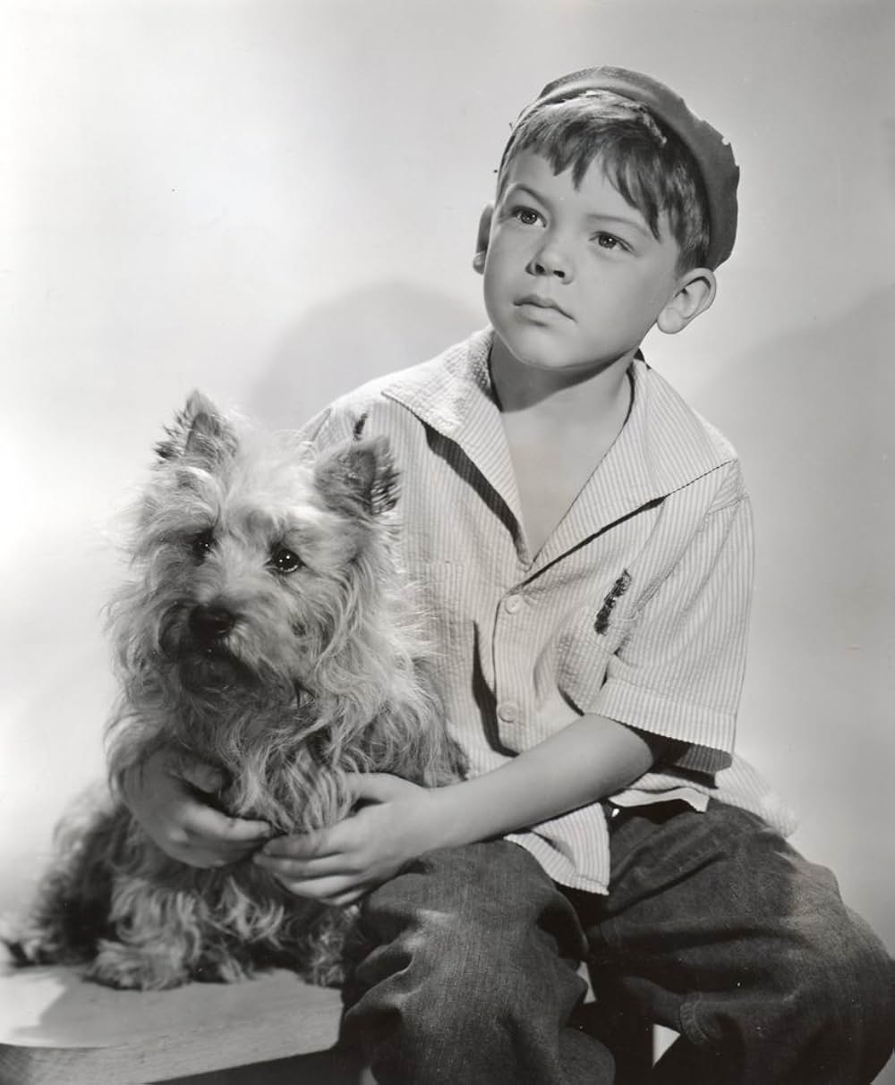 家族のもとへの画像