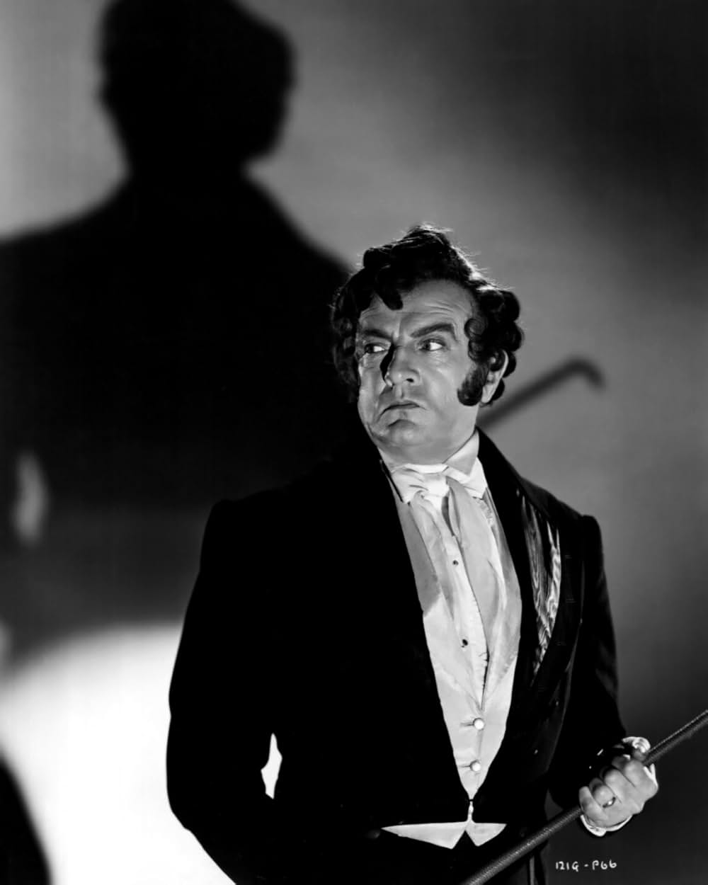 赤い百合の画像