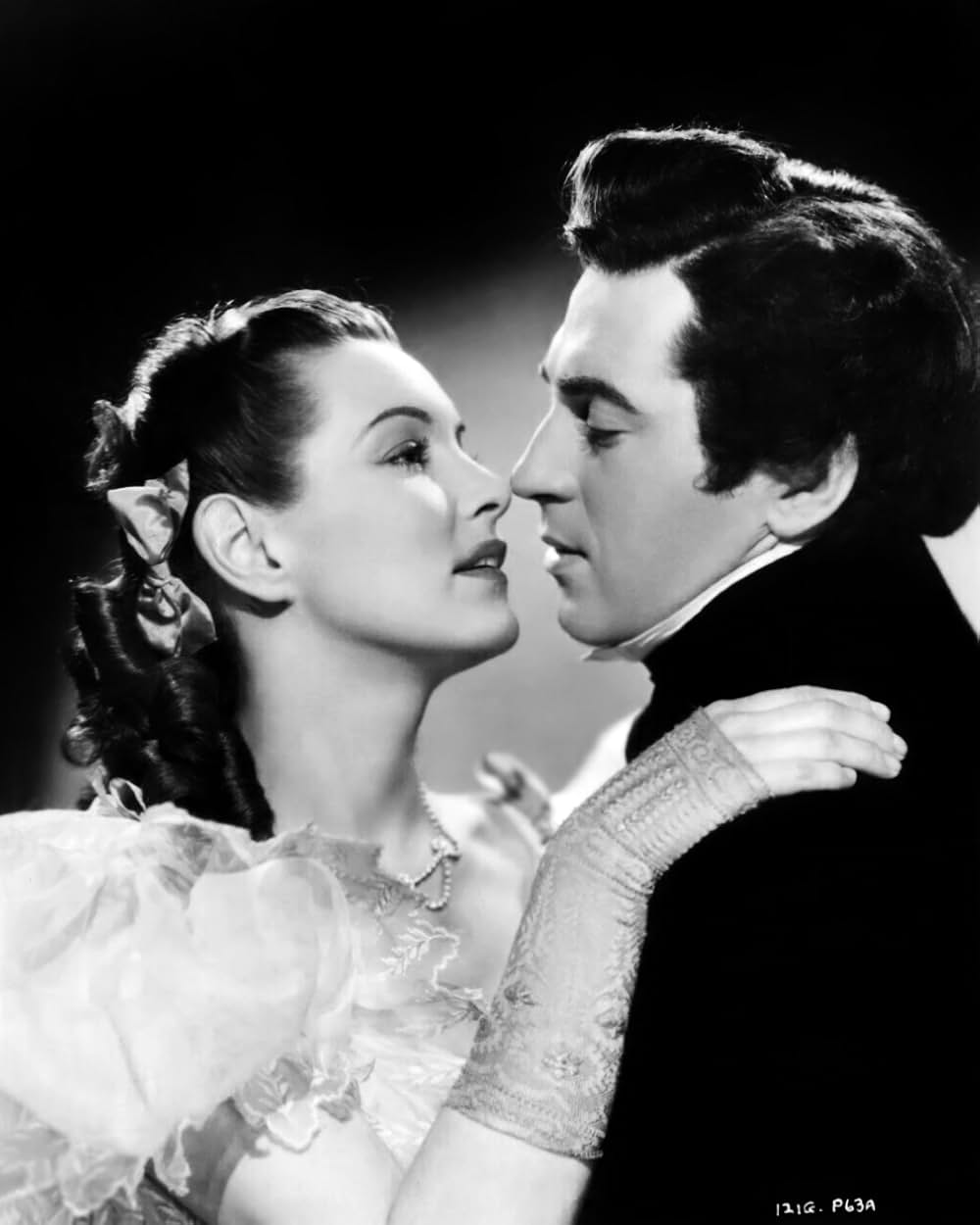 赤い百合の画像