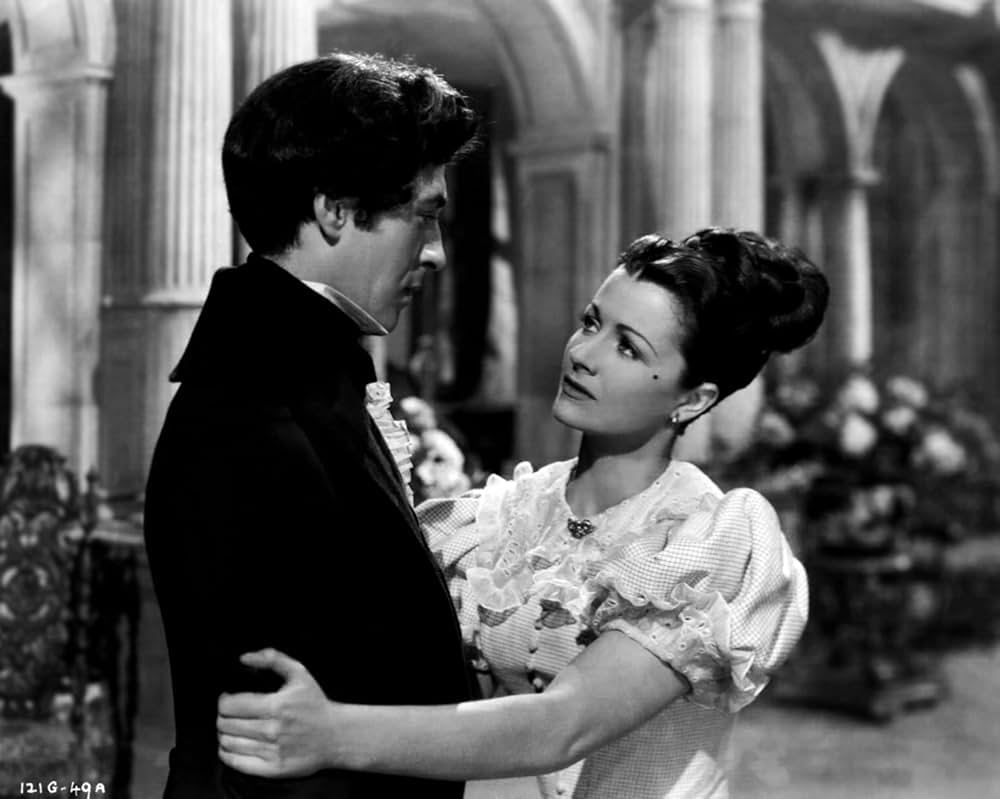 赤い百合の画像