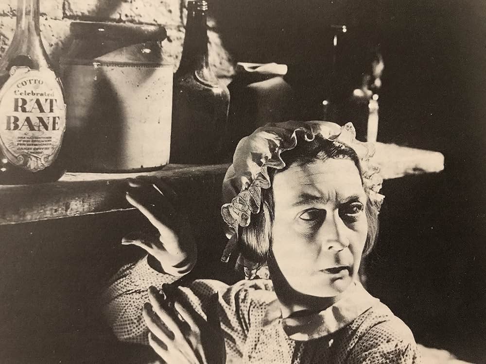 赤い百合の画像