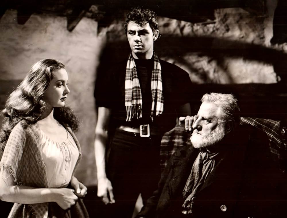 情炎の島の画像