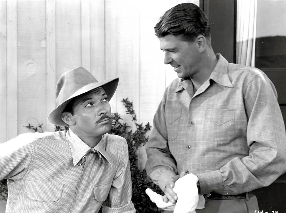 スタリオン街道の画像