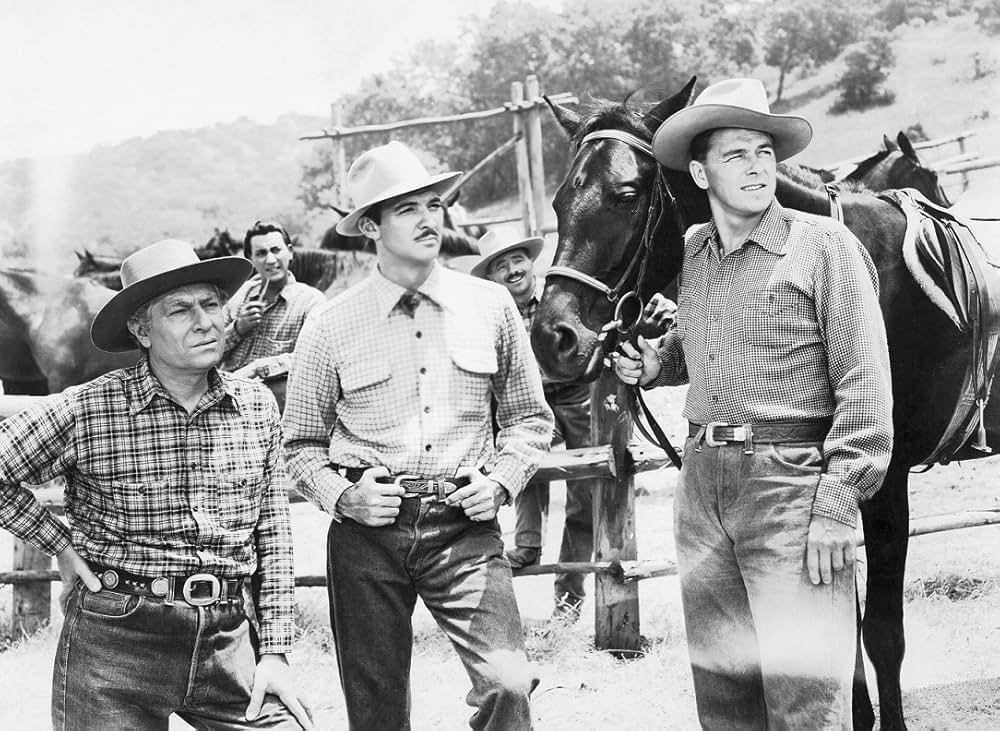 スタリオン街道の画像