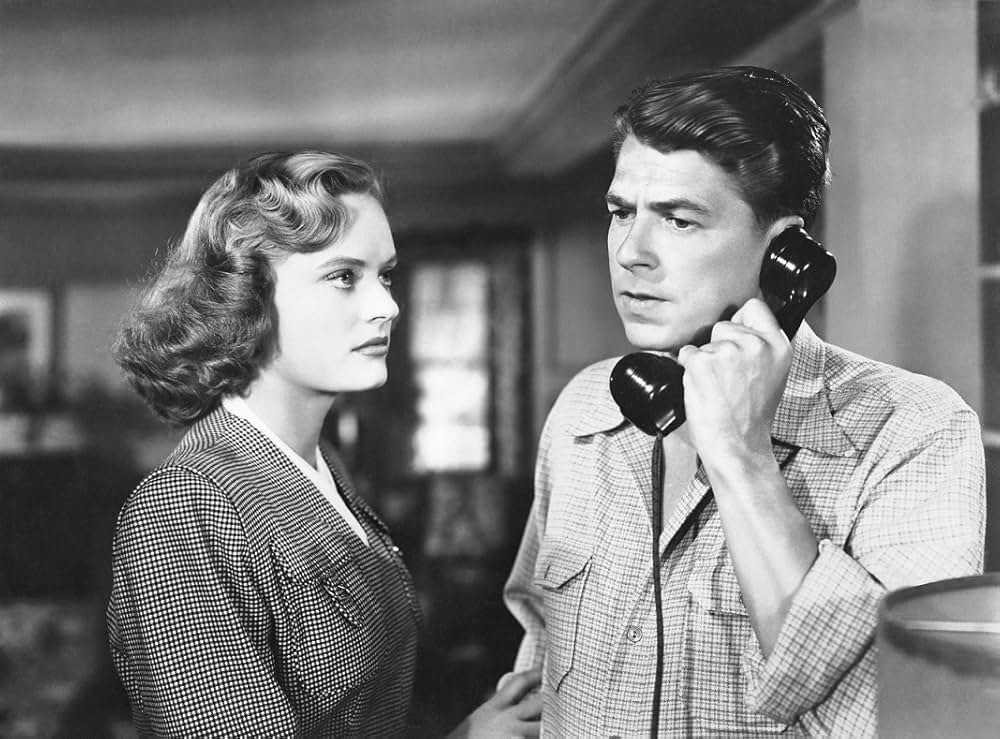 スタリオン街道の画像