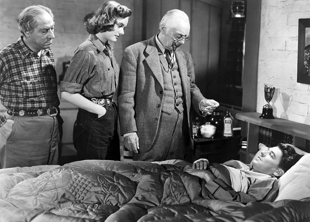 スタリオン街道の画像