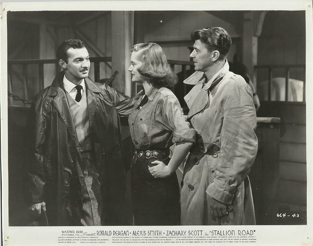 スタリオン街道の画像