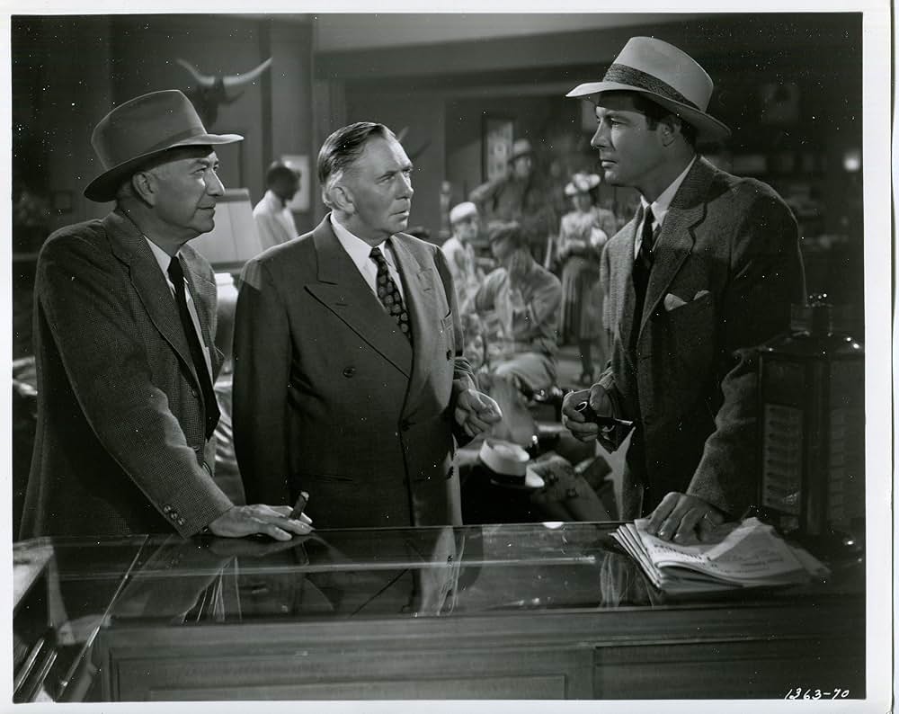 少年牧場の写真