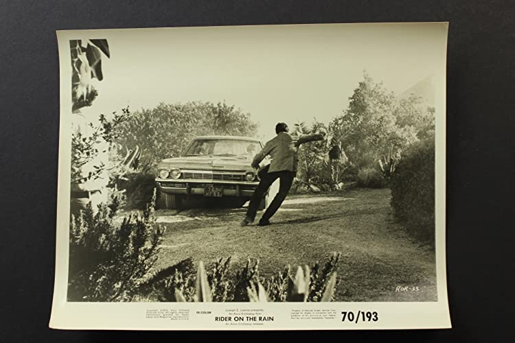 雨の訪問者の画像